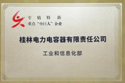 國(guó)家級(jí)“專精特新”重點(diǎn)小巨人企業(yè)