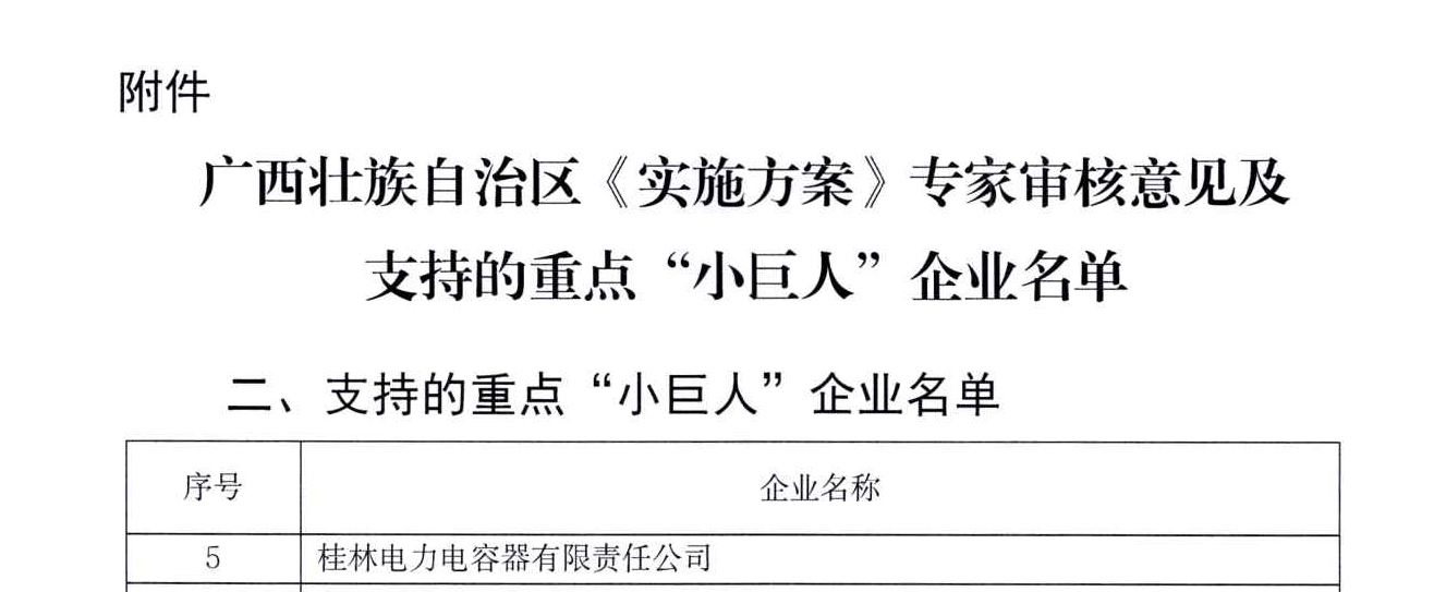 19、重點“小巨人”認定文件_02.jpg